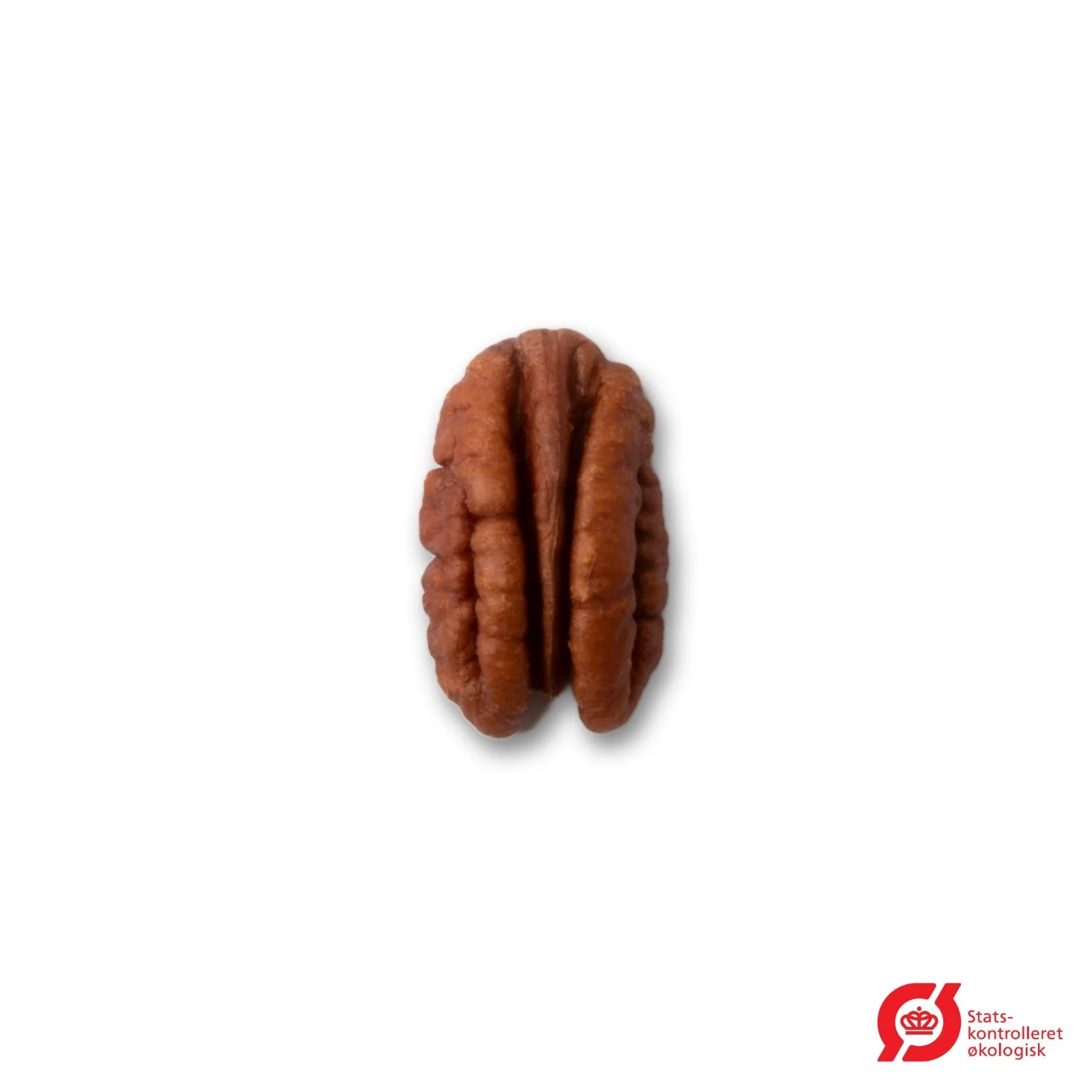 Miniaturebillede 1